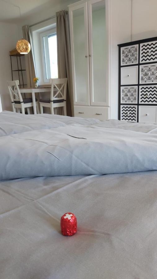 Schweizer Hof Apartment Tamsweg Luaran gambar